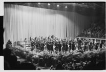 Orchestra performance